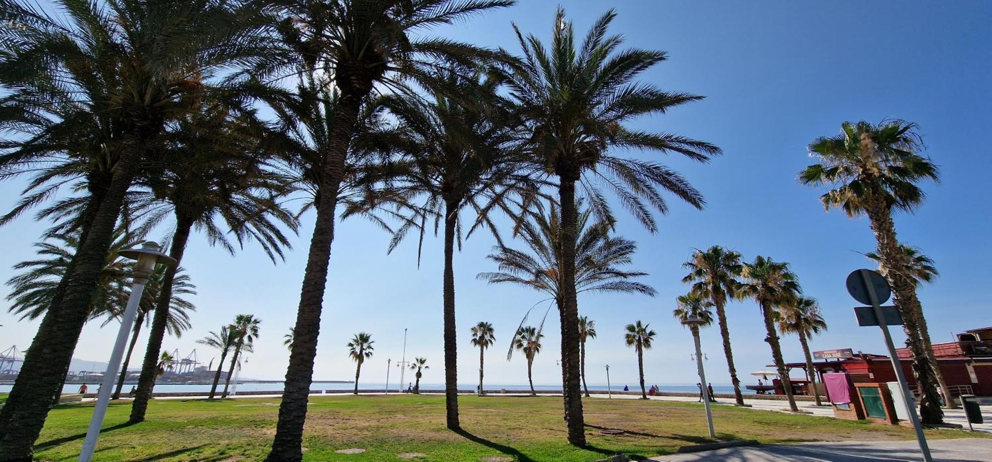 Paloma Beach מאלגה מראה חיצוני תמונה